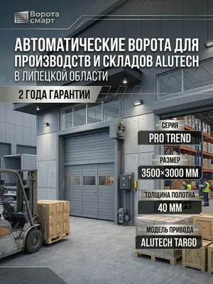 Автоматические ворота для производств и складов ALUTECH ProTrend 3500×3000 мм