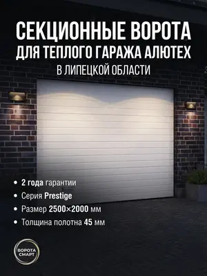 Секционные ворота для теплого гаража Alutech Prestige 2500х2000