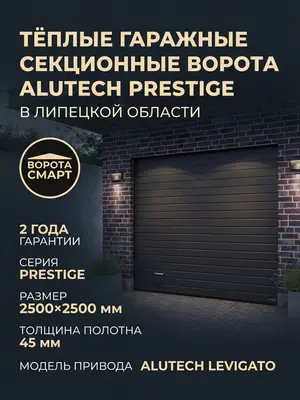 Тёплые гаражные секционные ворота ALUTECH Prestige 2500×2500 мм привод ALUTECH Levigato